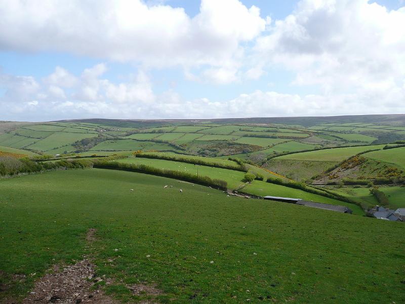 P1010140- Paysage du Somerset.JPG - Paysage du Somerset